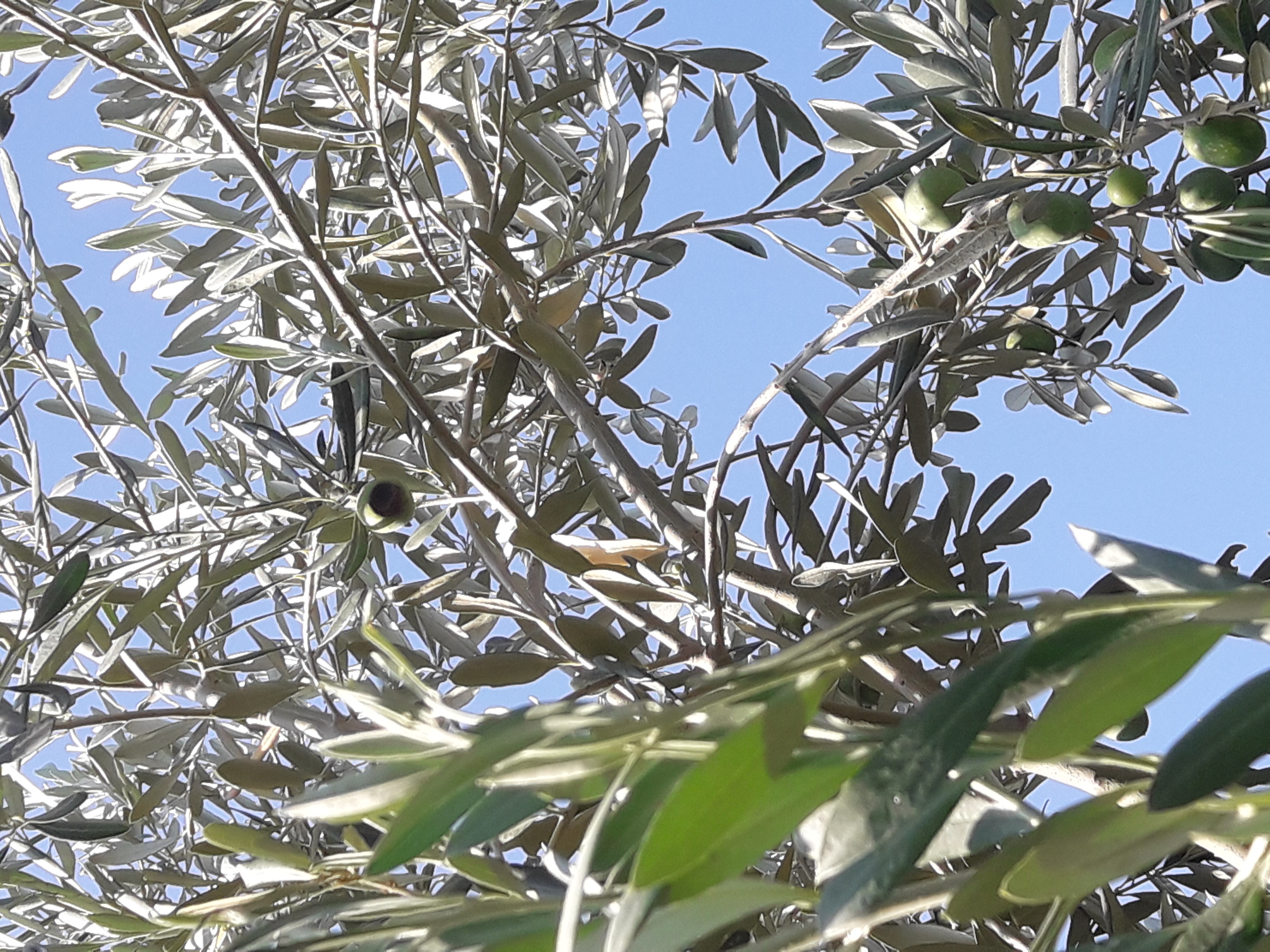 Μάθημα
