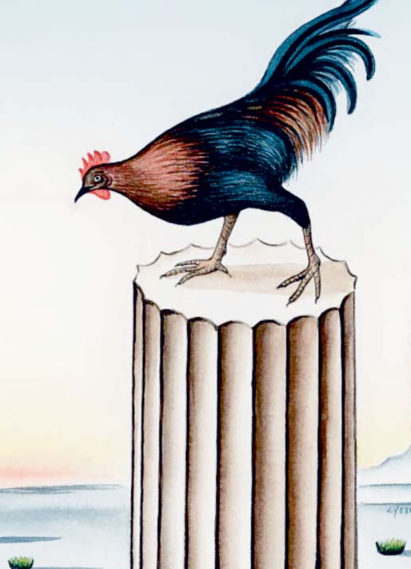 Εικόνα επιλογής