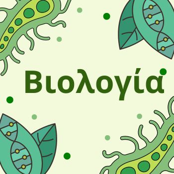 Εικόνα επιλογής