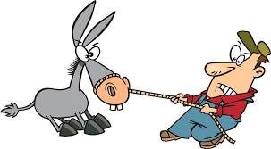 Εικόνα επιλογής