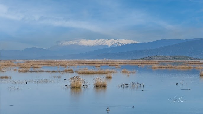 Εικόνα επιλογής