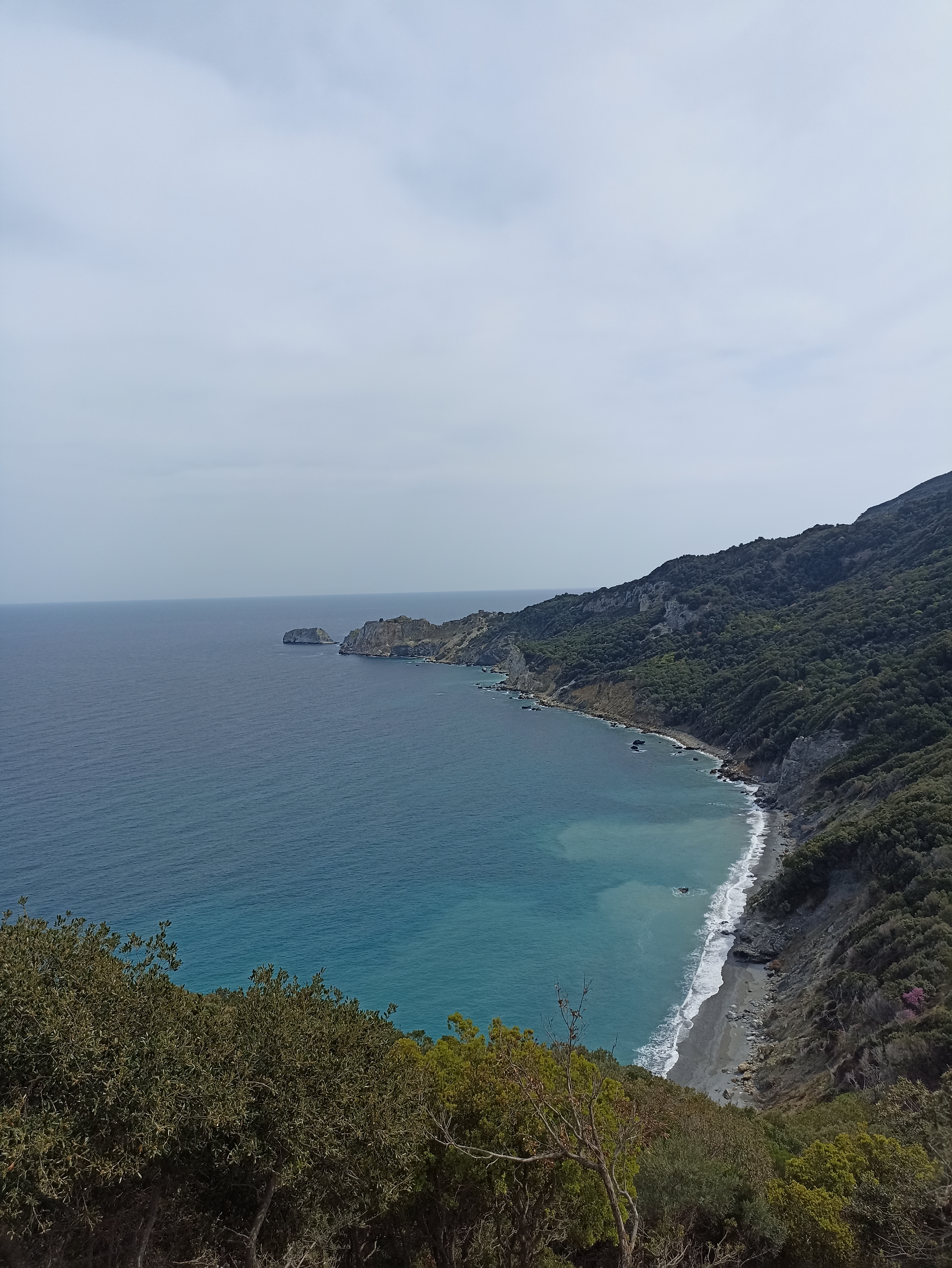 Εικόνα επιλογής