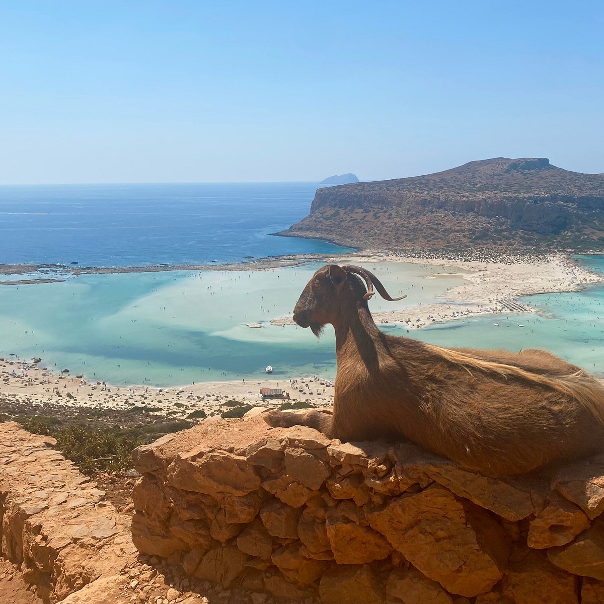 Επιλέχθηκε εικόνα