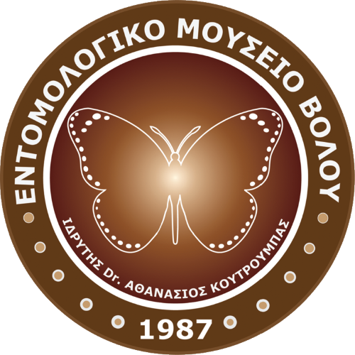 Μάθημα