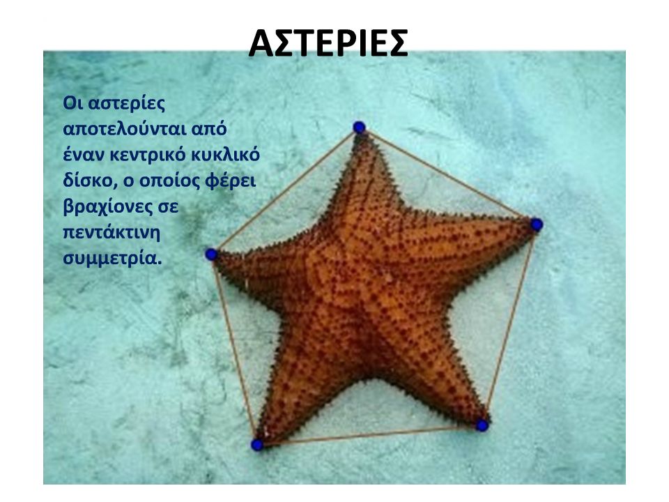 Μάθημα