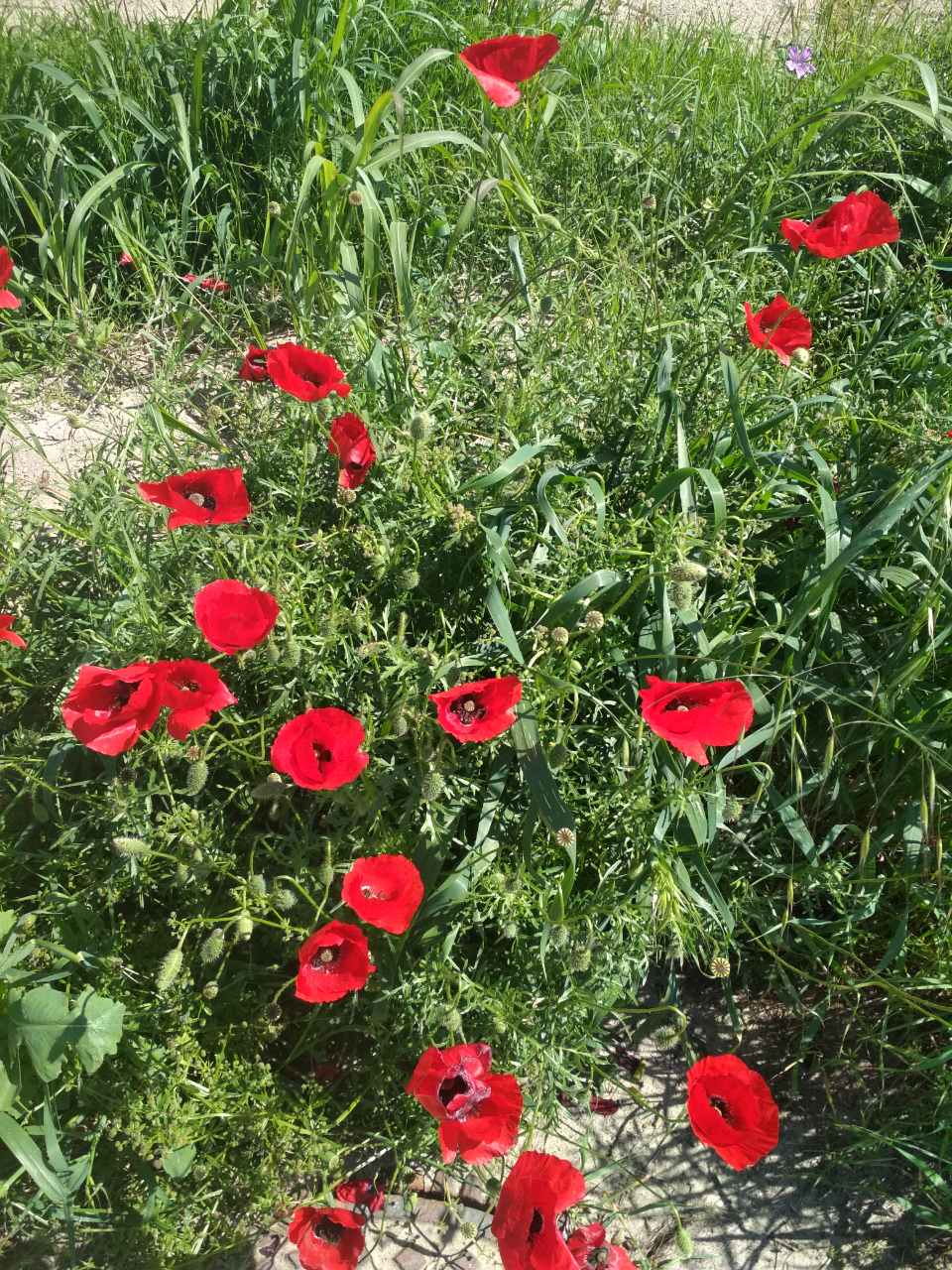 Μάθημα