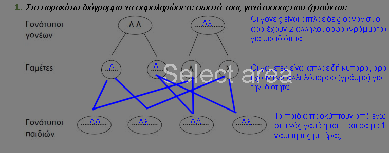 Ασκ 1 σελ110