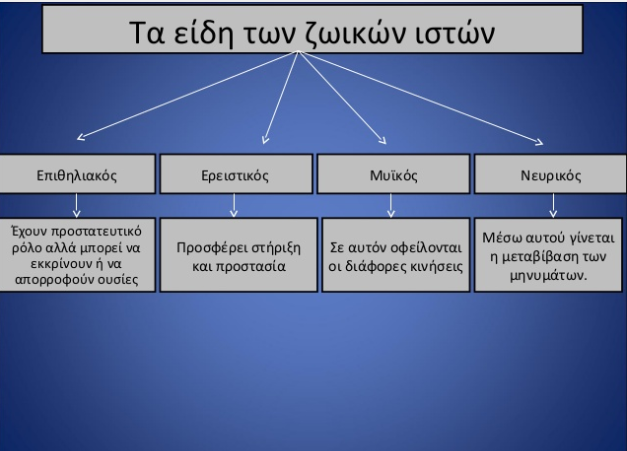 είδη ζωικών ιστών